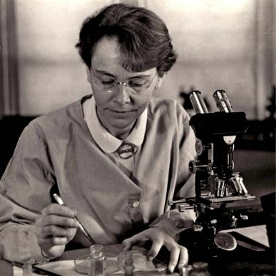 Barbara McClintock 