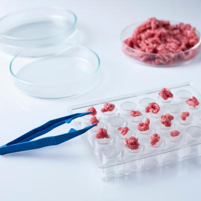 Carne cultivada em laboratório 