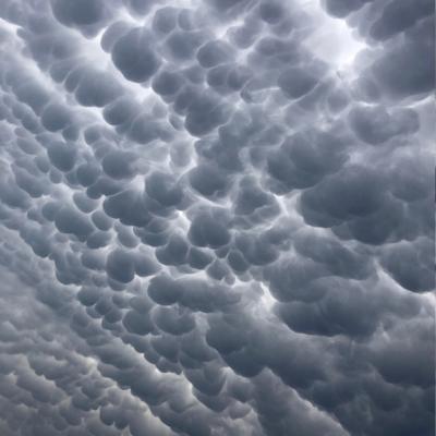 Nuvens mammatus