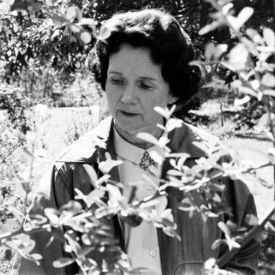 Rachel Carson