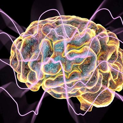 Diferenças entre cérebros feminino e masculino na percepção de cores