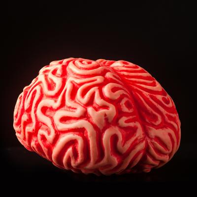 plasticidade cerebral 