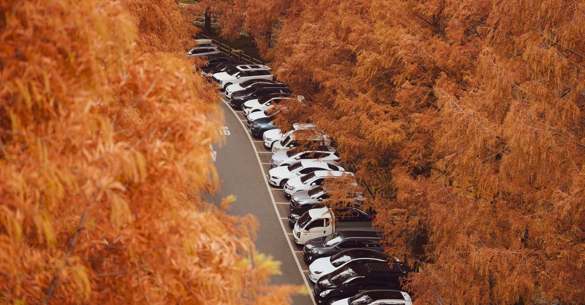 Seguro de auto anual o multianual: precio, cambios y cancelación